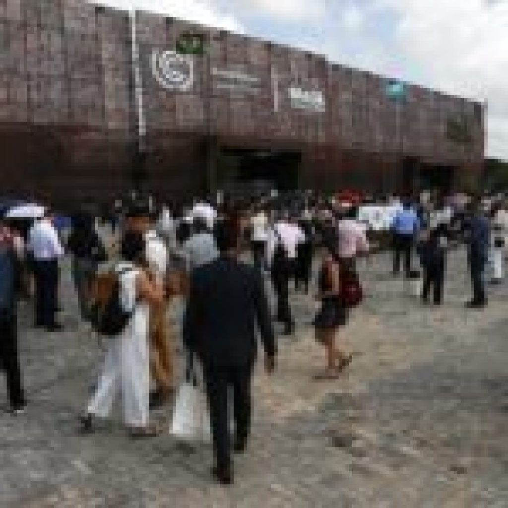 Lobistas na COP30: problema ou solução?