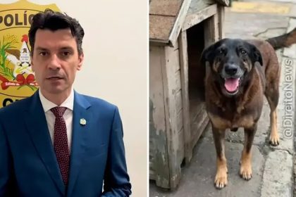 Caso Orelha: delegado-geral nega relação com advogado