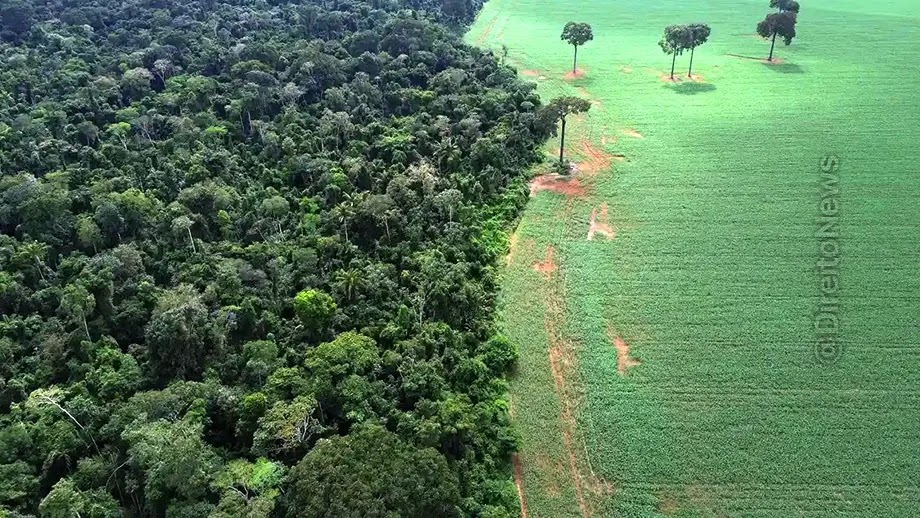 Homem não reverte penhora de fazenda comprada na Bahia