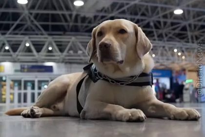 Justiça do RJ condena TAP a pagar R$ 60 mil por barrar cão de serviço