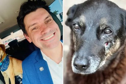 MPSC investiga conduta de delegado geral no caso cão Orelha