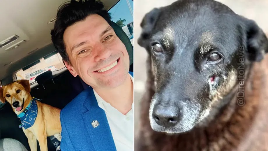 MPSC investiga conduta de delegado geral no caso cão Orelha