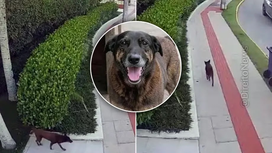 Caso Orelha: defesa contesta autoria por adolescente com vídeo do