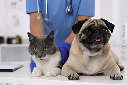 Projeto permite deduzir gastos com saúde de pets no IR