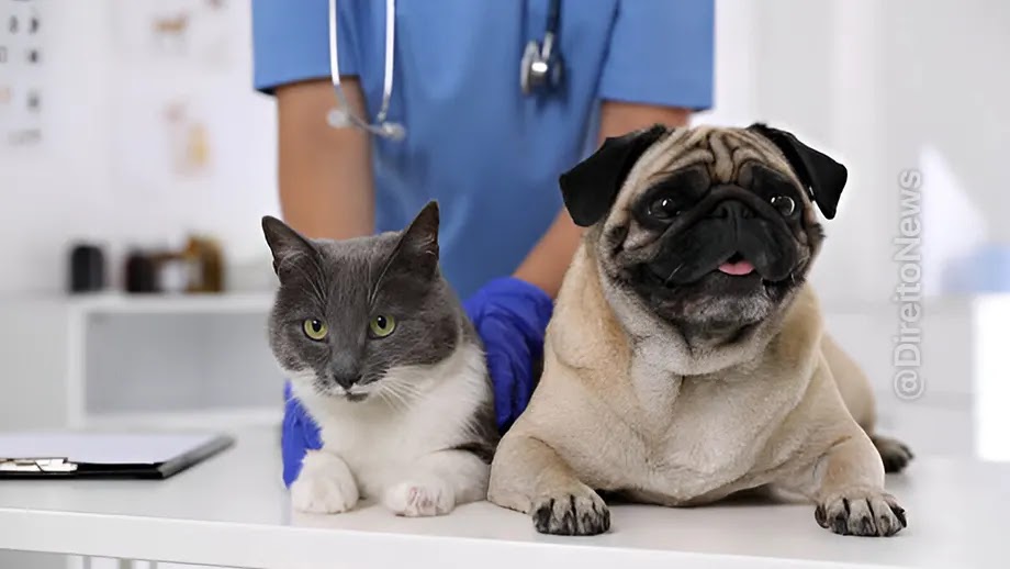 Projeto permite deduzir gastos com saúde de pets no IR