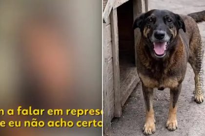 Moradora admite ter divulgado falsa agressão ao cão Orelha
