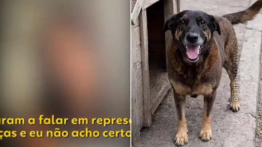 Moradora admite ter divulgado falsa agressão ao cão Orelha