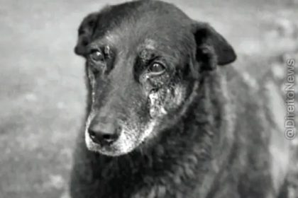 Morte de Orelha reacende debate sobre maioridade penal