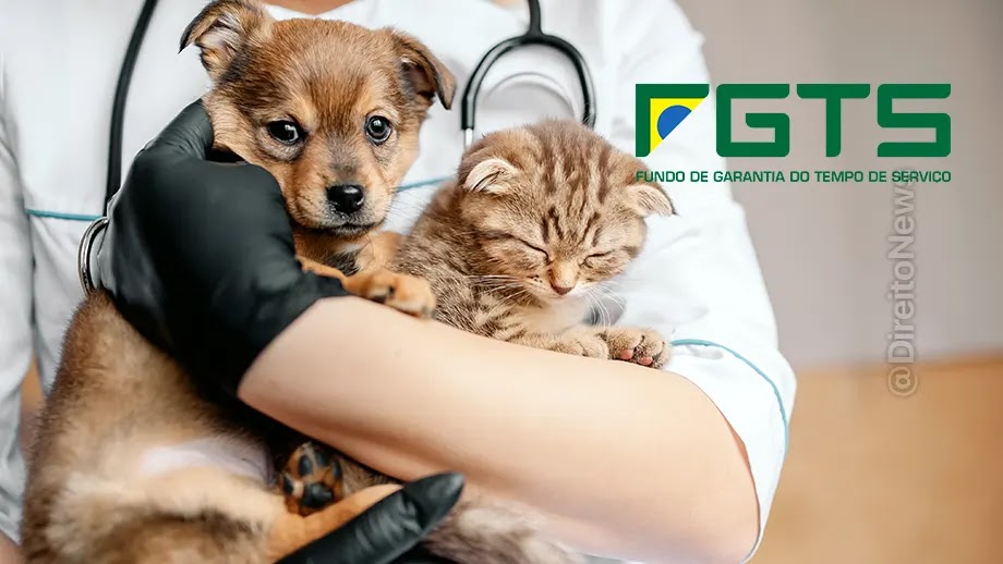 FGTS pode ser usado para tratamento de saúde de pets