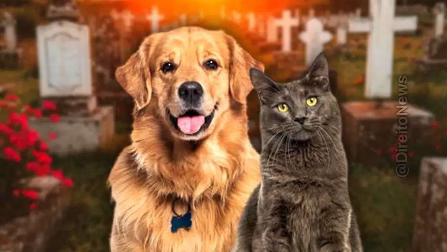 Tarcísio sanciona lei para sepultar pets em jazigos familiares em SP
