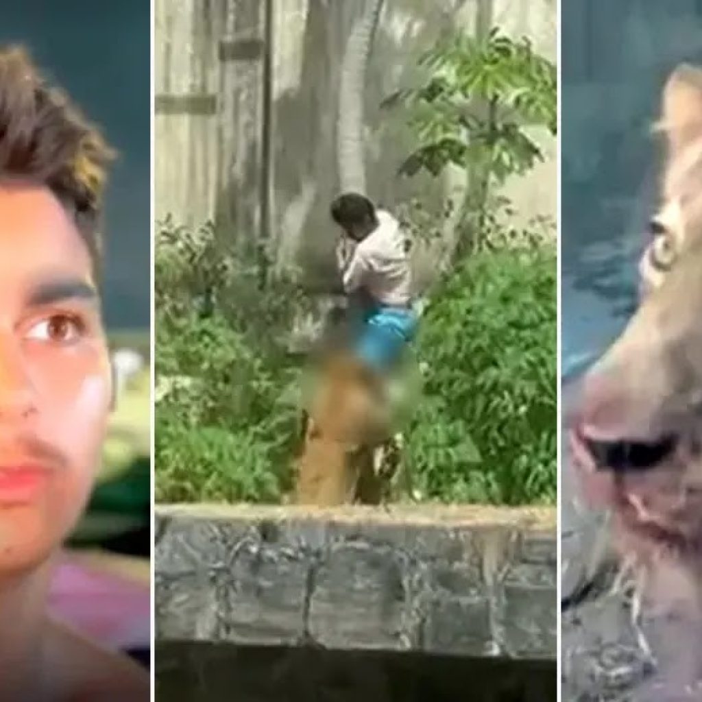 TJ-PB arquiva inquérito de jovem morto por leoa