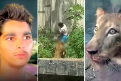 TJ-PB arquiva inquérito de jovem morto por leoa