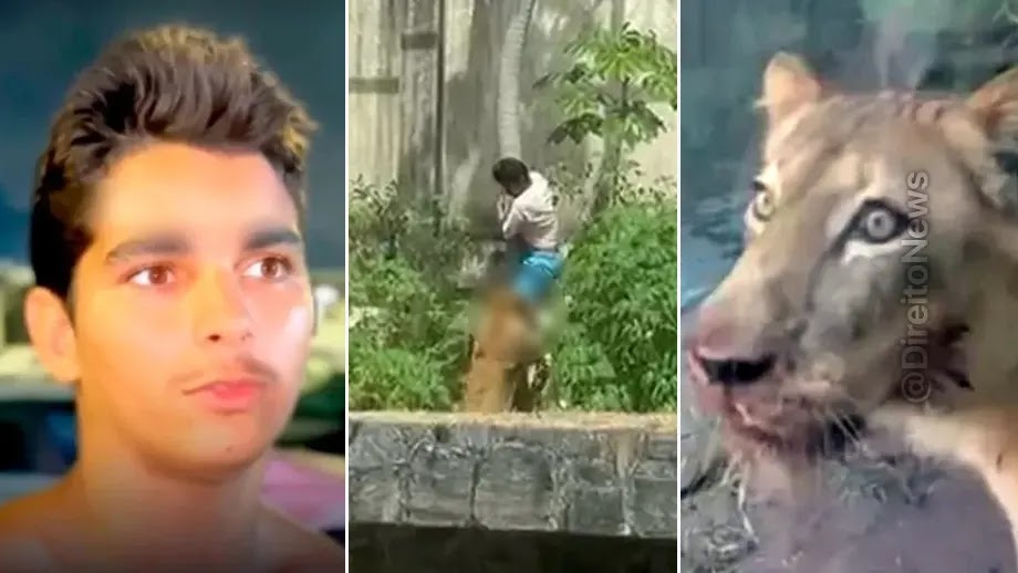 TJ-PB arquiva inquérito de jovem morto por leoa