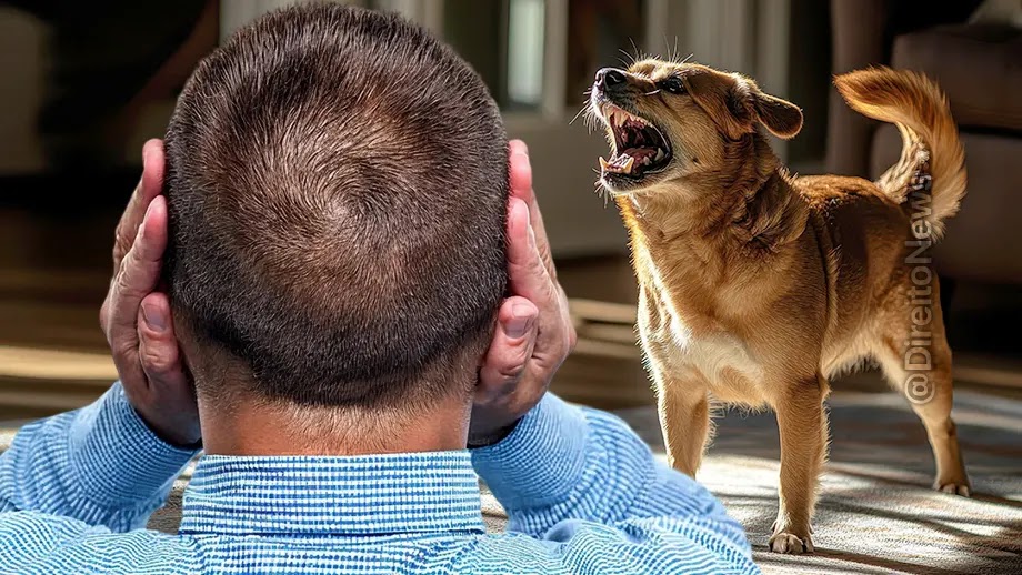 Vizinho recebe R$ 500 por latido de cachorro em São Paulo