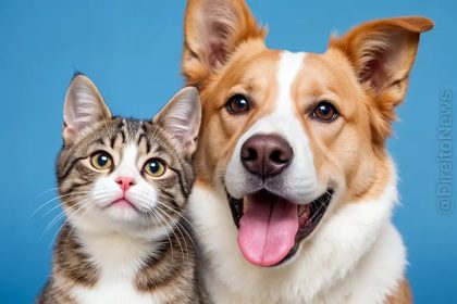 Violência contra pets pode virar crime hediondo