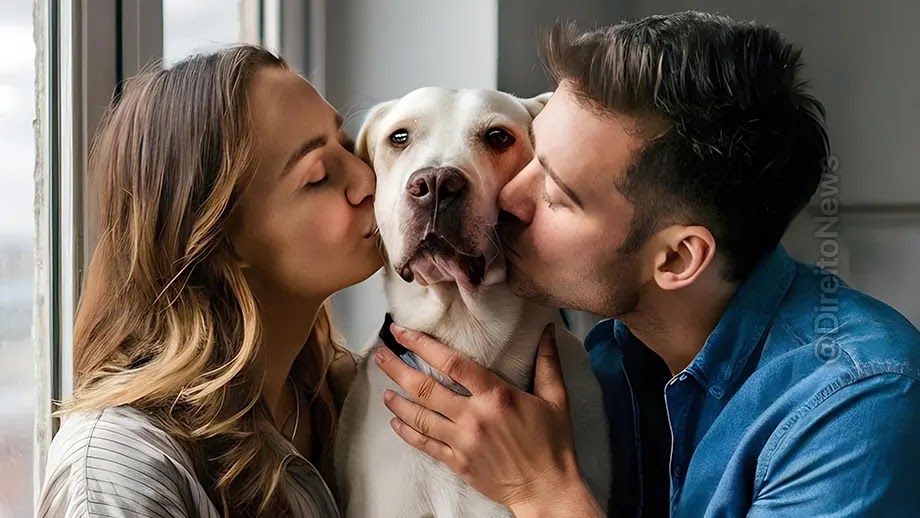 Senado aprova regras para guarda compartilhada de pets no divórcio