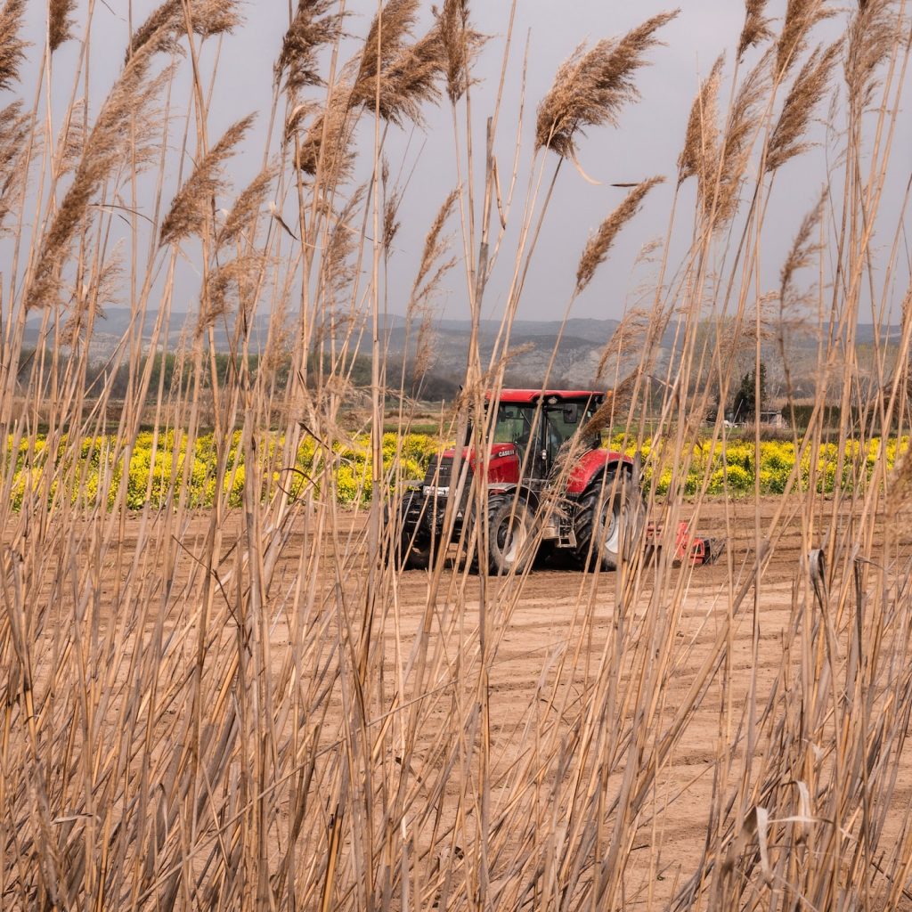 Reforma tributária e agronegócio: regulamentações e preocupações