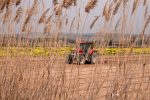 Reforma tributária e agronegócio: regulamentações e preocupações