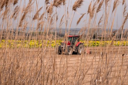 Reforma tributária e agronegócio: regulamentações e preocupações