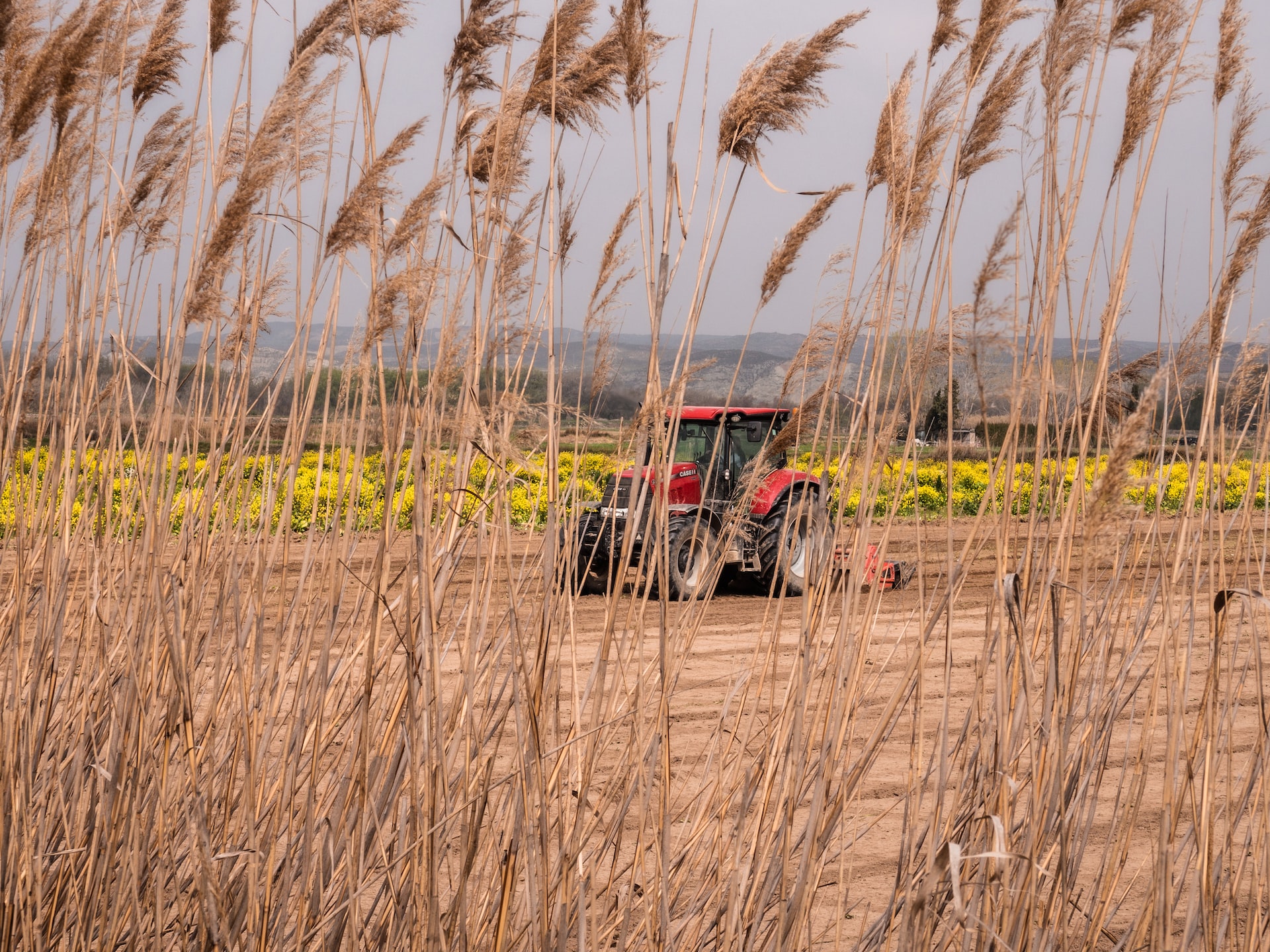 Reforma tributária e agronegócio: regulamentações e preocupações