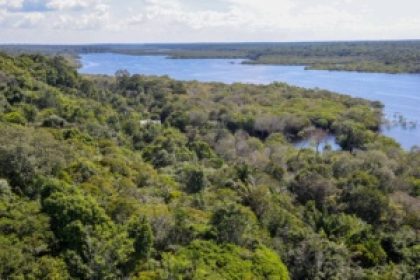 Imposto Seletivo sobre extração de petróleo: efeitos na Margem Equatorial